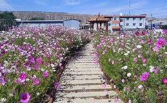 无码人妻一区二区三区A片